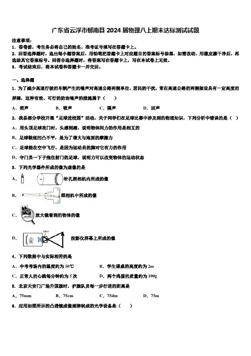 广东省云浮市郁南县2024届物理八上期末达标测试试题含解析