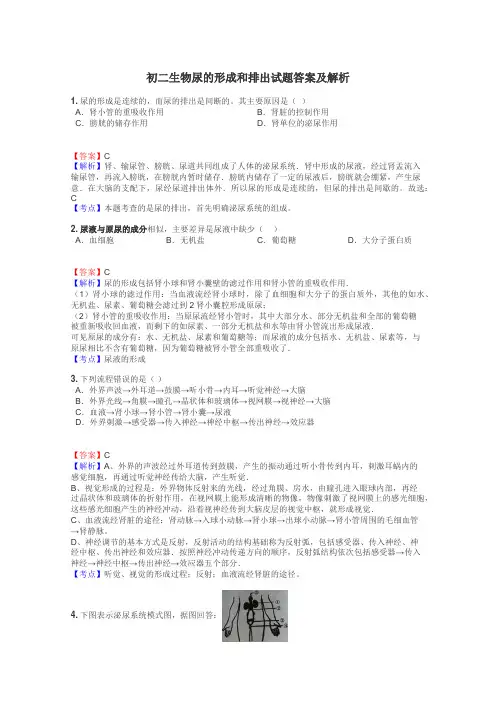初二生物尿的形成和排出试题答案及解析
