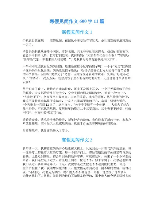 寒假见闻作文600字11篇