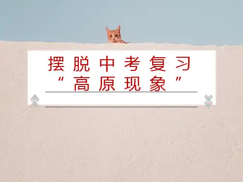 备战中考学习辅导--“摆脱中考复习高原现象” 精选课件(共24张PPT)