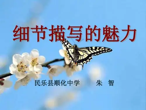 初中作文指导细节描写的魅力PPT课件1