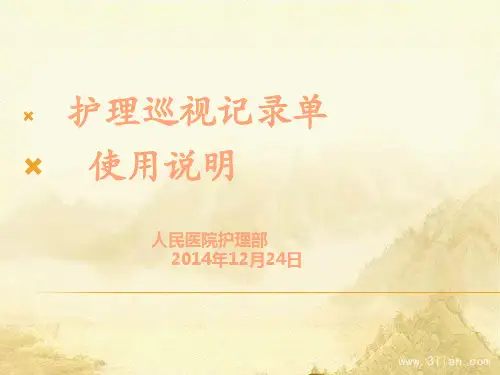 护理巡视记录单使用说明概述