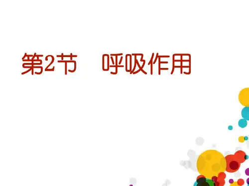 《呼吸作用》PPT课件