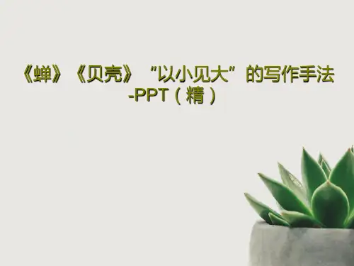 《蝉》《贝壳》“以小见大”的写作手法-PPT(精)34页PPT