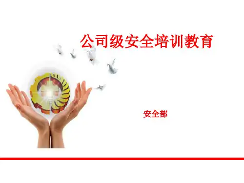公司级安全教育培训