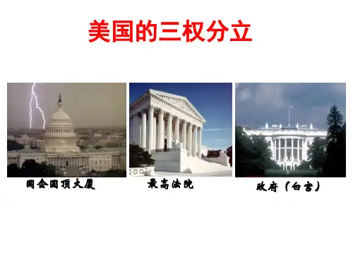 政治高考专题复习  美国的三权分立制