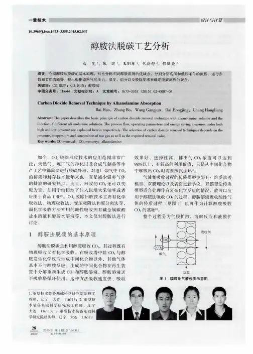 醇胺法脱碳工艺分析