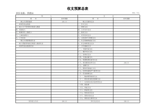 收支预算总表