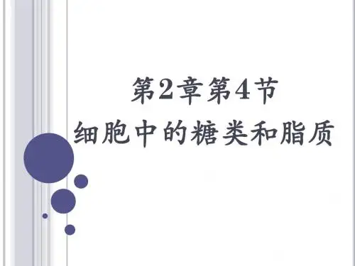 人教版必修1 2.4《细胞中的糖类和脂质》课件(共27张PPT)