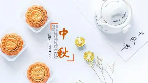 大气简约中秋月饼宣传营销策划PPT模板