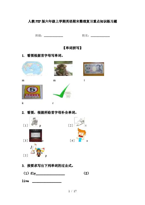 人教PEP版六年级上学期英语期末整理复习重点知识练习题
