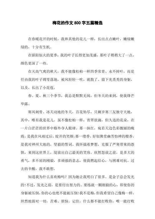 梅花的作文800字五篇精选