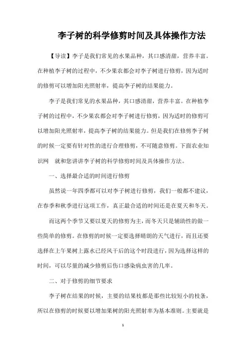 李子树的科学修剪时间及具体操作方法