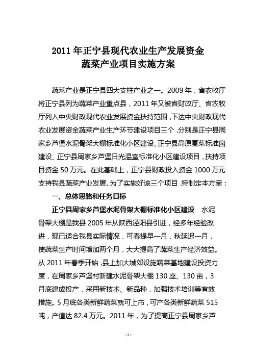 现代农业蔬菜项目实施方案