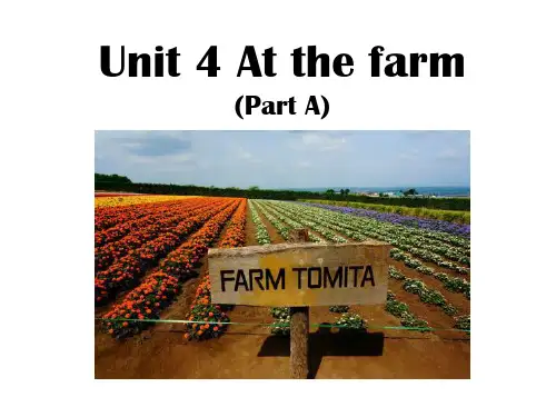 人教PEP版英语四年级下册Unit 4 At the farm Part A课件