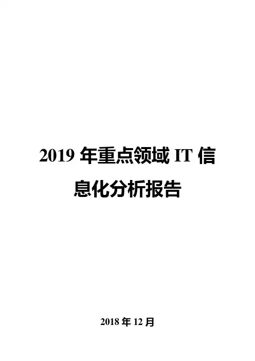 2019年重点领域IT信息化分析报告