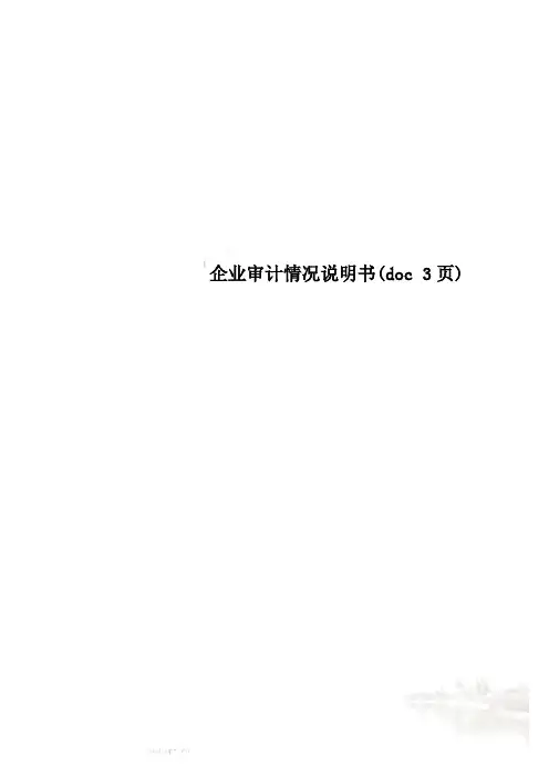 企业审计情况说明书(doc 3页)