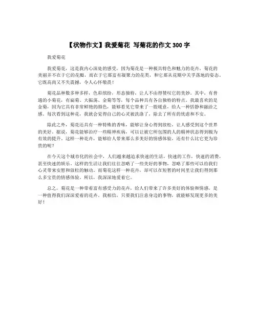 【状物作文】我爱菊花 写菊花的作文300字