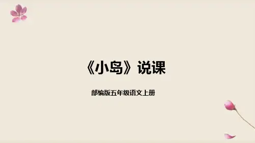 2022部编版小学五年级语文上册《小岛》说课课件(含教学反思)