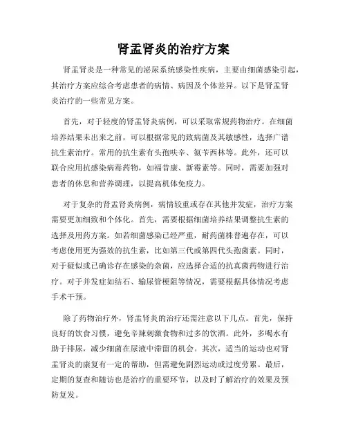 肾盂肾炎的治疗方案
