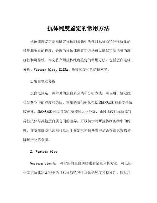 抗体纯度鉴定的常用方法