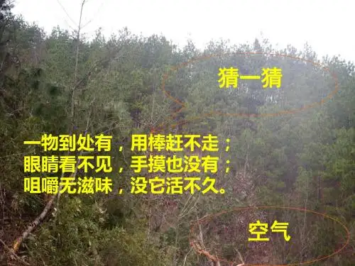 人教课标版九年级化学上册第二单元《我们周围的空气》课件