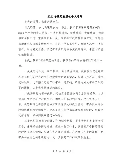 2024年度纪检组长个人总结