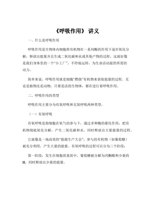 《呼吸作用》 讲义