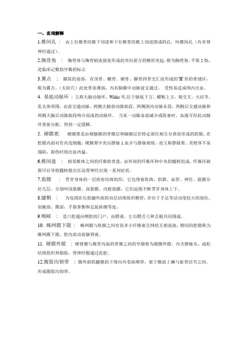 人体解剖学名词解释