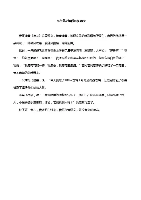 小学荷花读后感悟30字