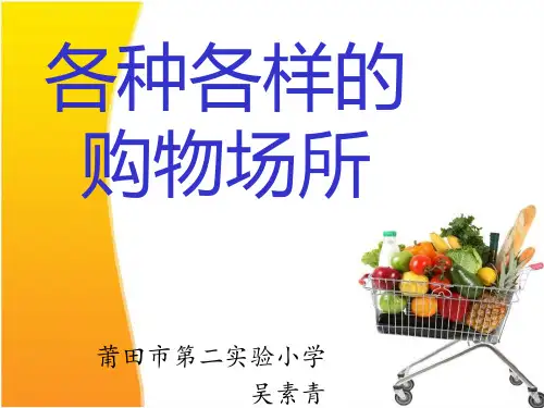 各种各样的购物场所ppt课件小学品德与社会北师大版三年级下册_2