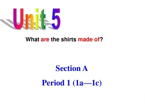 人教新目标九年级英语全册课件：Unit 5 What are the 
