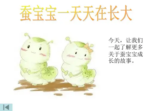《蚕的生长变化》PPT课件