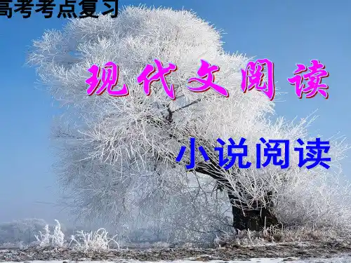 高考语文考点复习现代文阅读小说阅读ppt课件[43张]