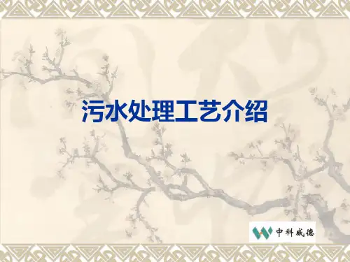 污水处理工艺PPT课件