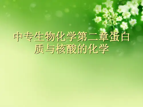 中专生物化学第二章蛋白质与核酸的化学