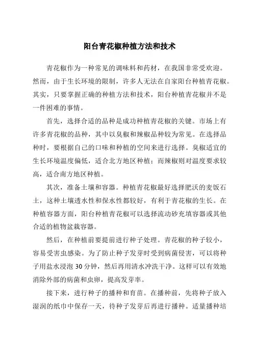 阳台青花椒种植方法和技术