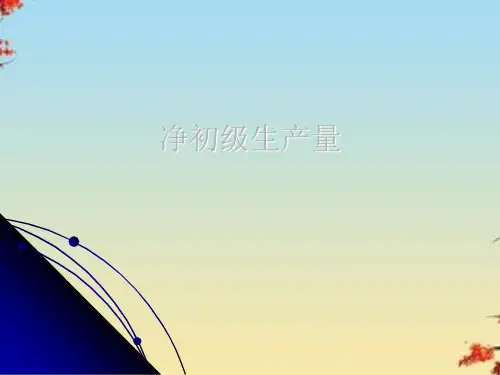 净初级生产量