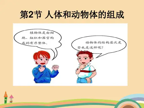 七年级生物人体和动物体的组成PPT优秀课件