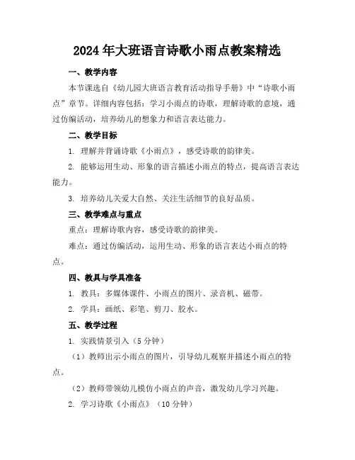 2024年大班语言诗歌小雨点教案精选