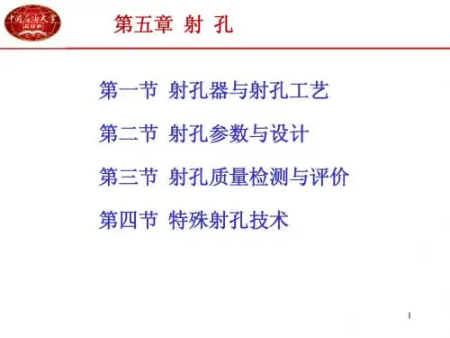 第五章 射孔