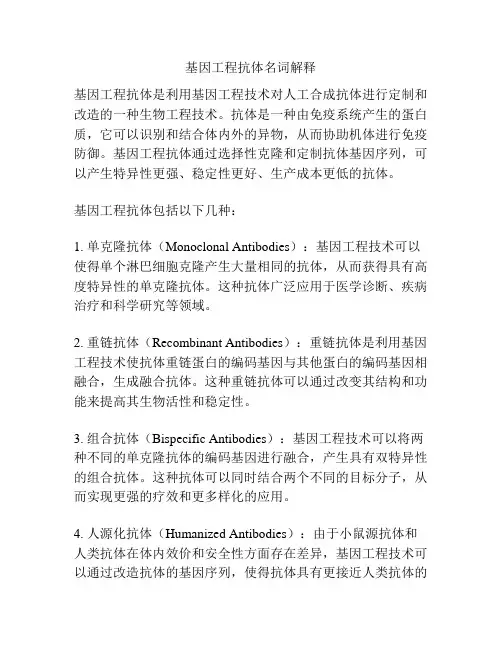 基因工程抗体名词解释