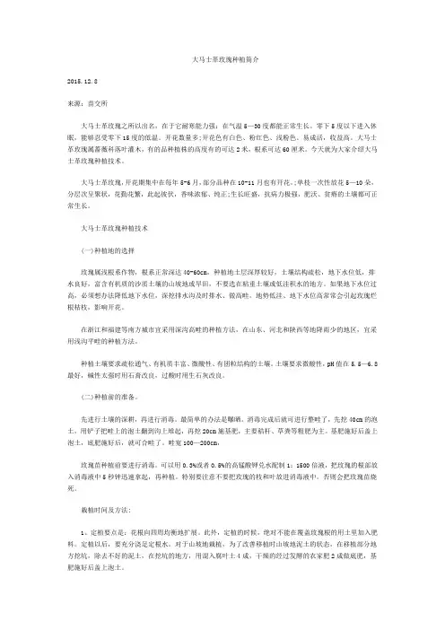 大马士革玫瑰种植