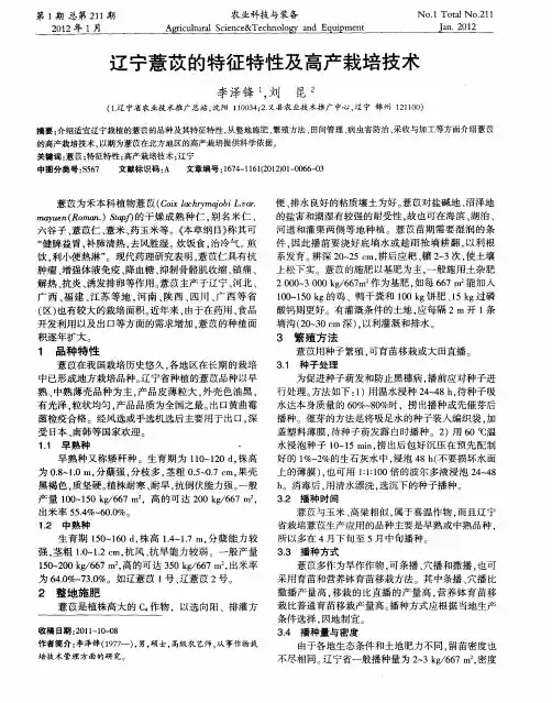 辽宁薏苡的特征特性及高产栽培技术