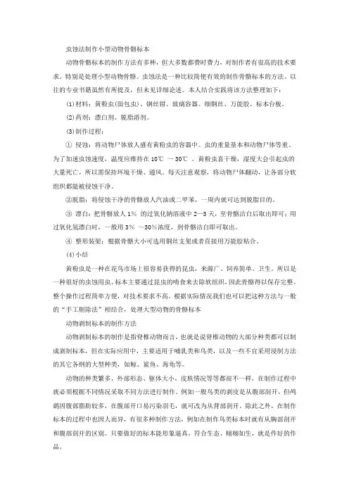 虫蚀法制作小型动物骨骼标本