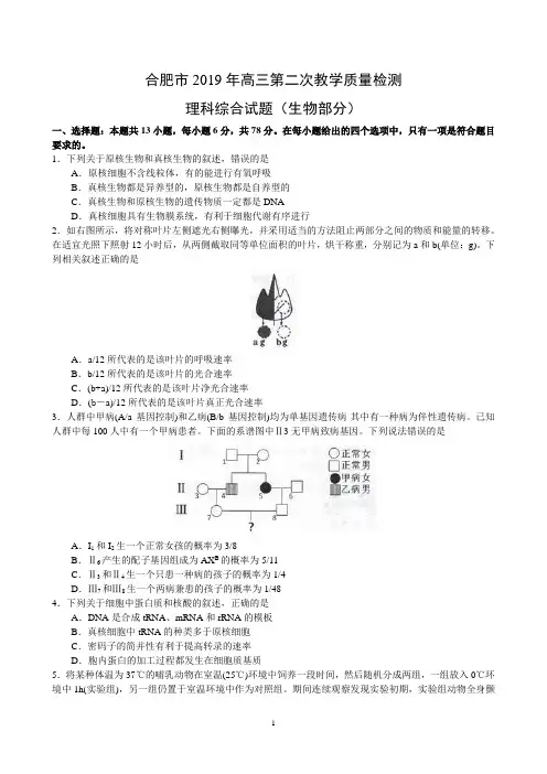 合肥市2019年高三第二次教学质量检测生物试题及答案wrod