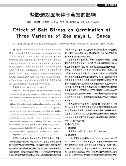 盐胁迫对玉米种子萌发的影响