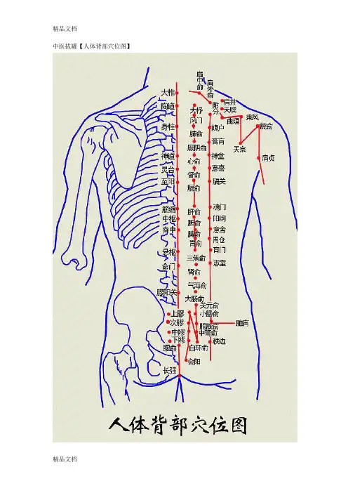 (整理)中医拔罐【人体背部穴位图】.