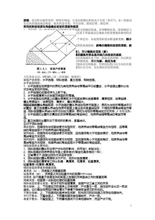 层理
