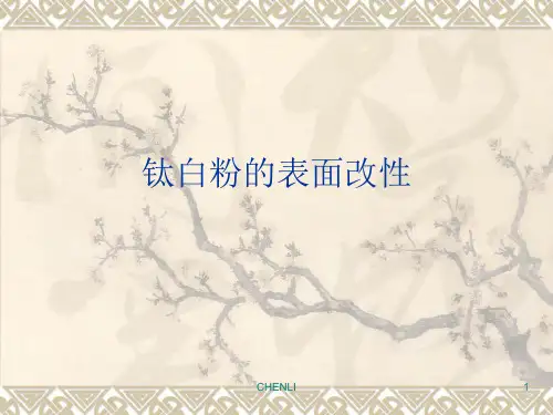 钛白粉的表面改性PPT课件